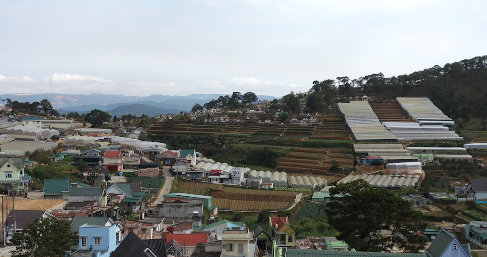 Greenhouses outside town